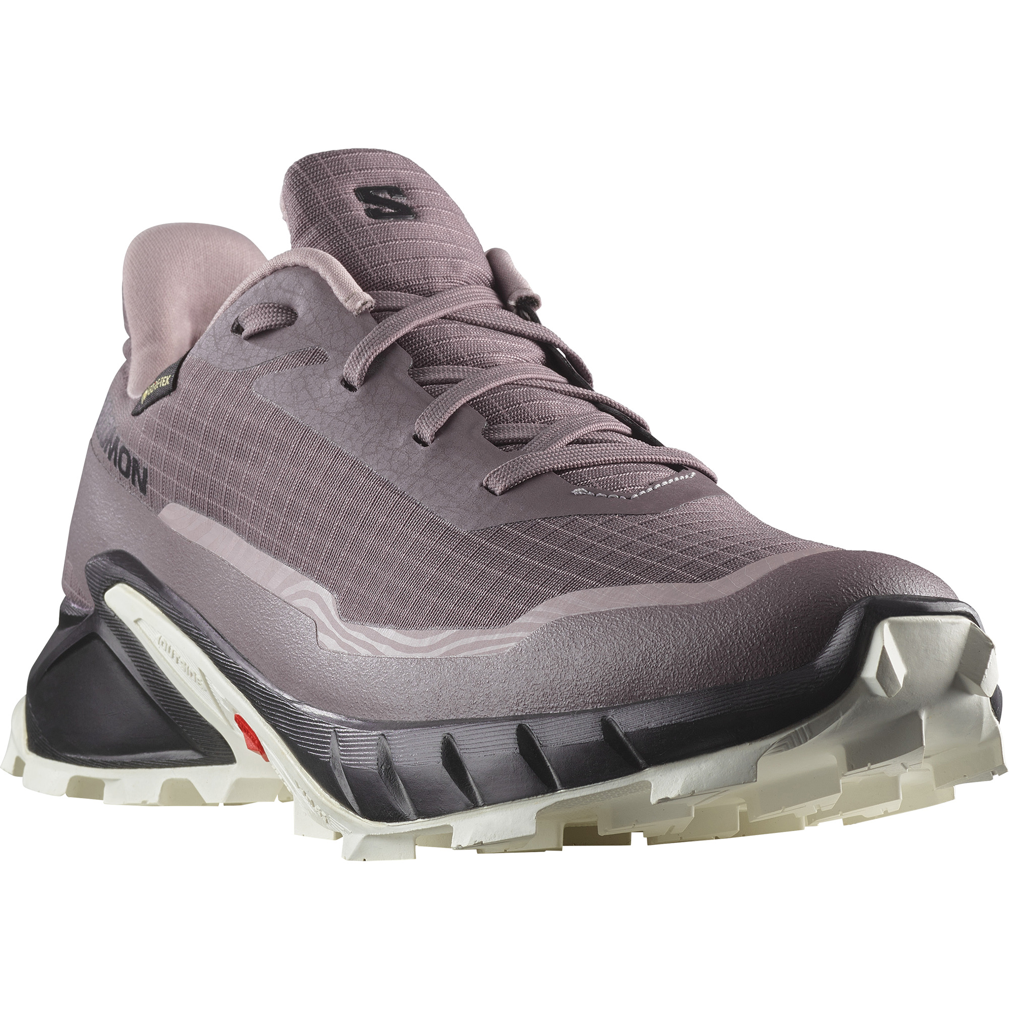 salomon-alphacross-5-gtx