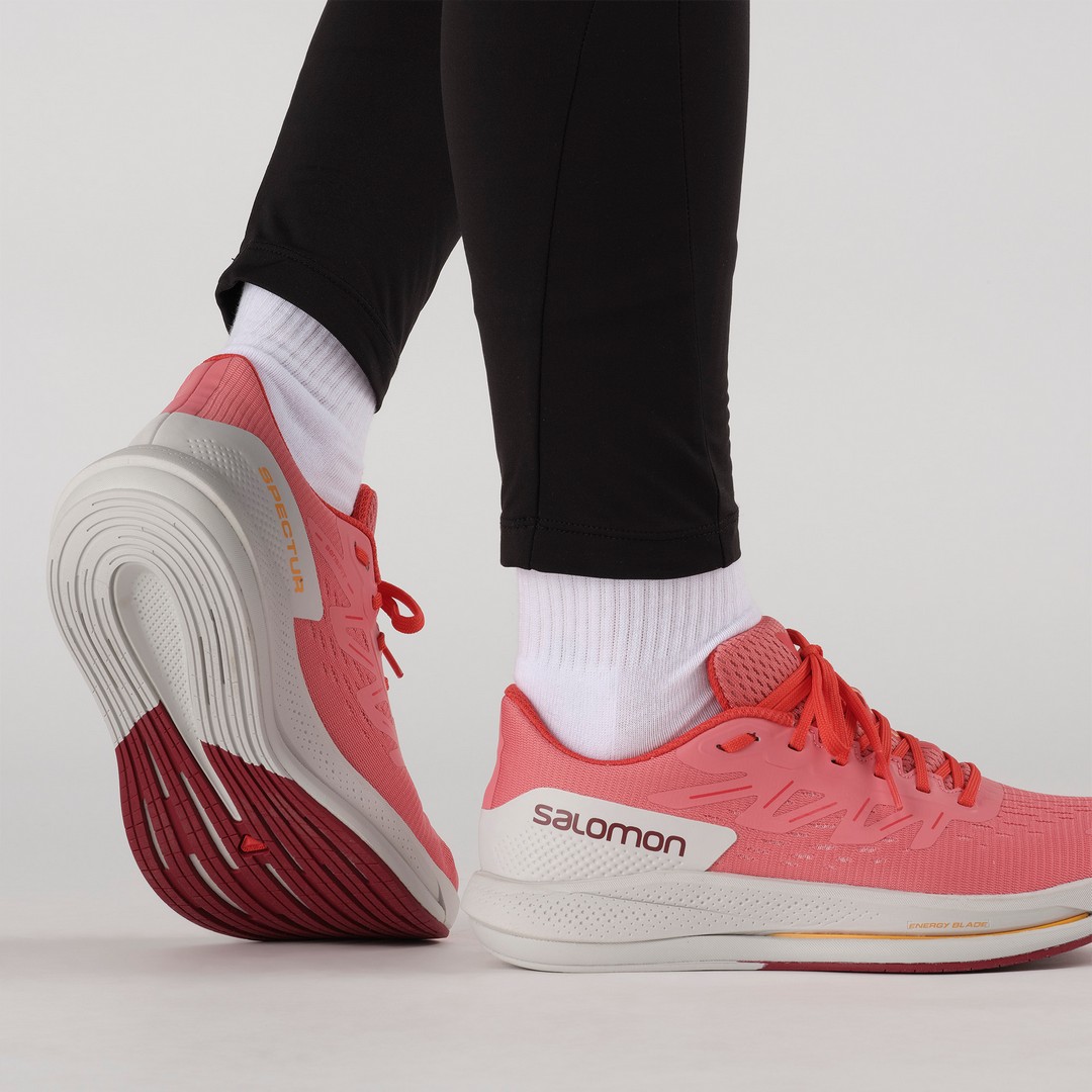 salomon-spectur